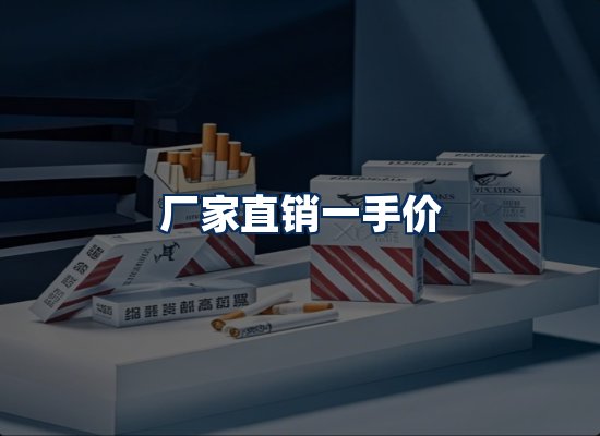 专业团队办公环境